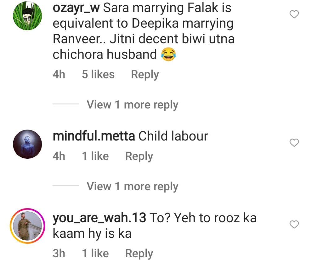 Criticism On Falak Shabir's Recent Video