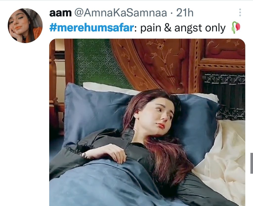 Fans Unhappy With Plot Twist In Mere Humsafar