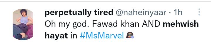 Fawad Khan And Mehwish Hayat's Chemistry In Ms Marvel Wows People