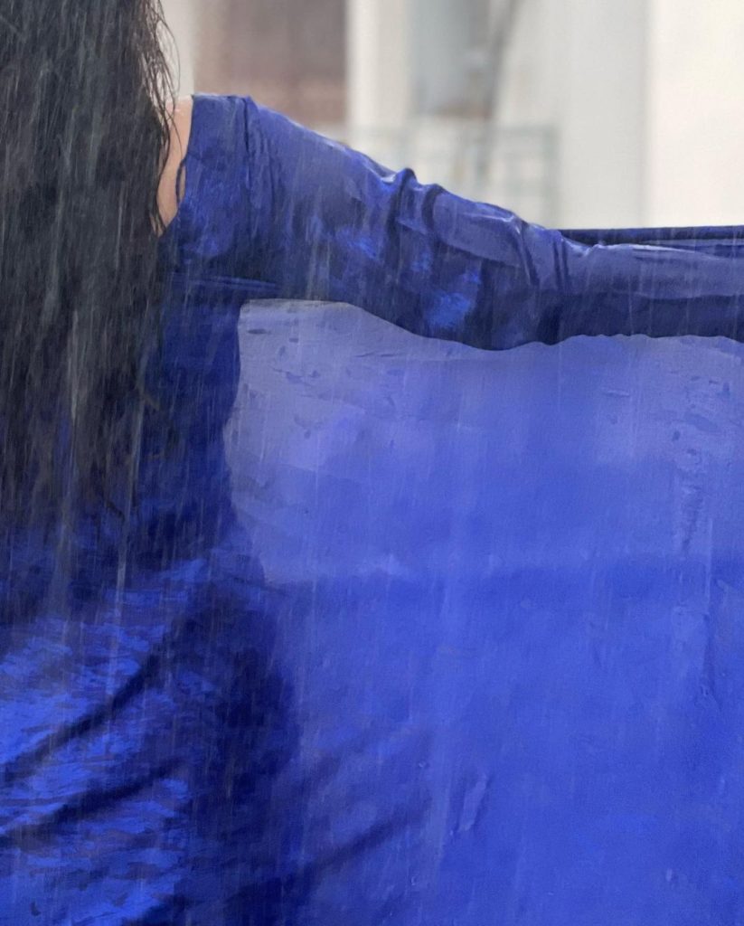 Hira Mani Invites Public Wrath After Posting Saree Pictures In Rain