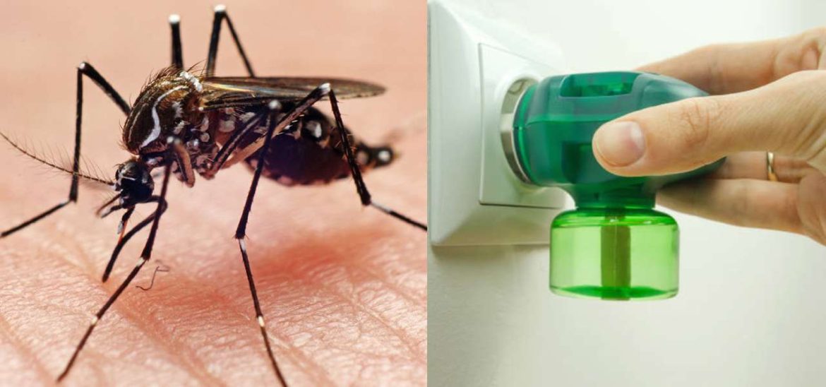 Rising Cases In Pakistan! How To Prevent Against Dengue?