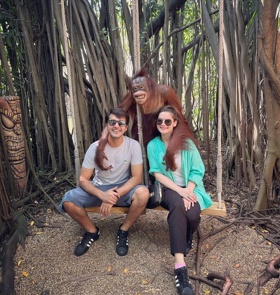 Minal Khan And Ahsan Mohsin Ikram Enjoy Safari In Thailand