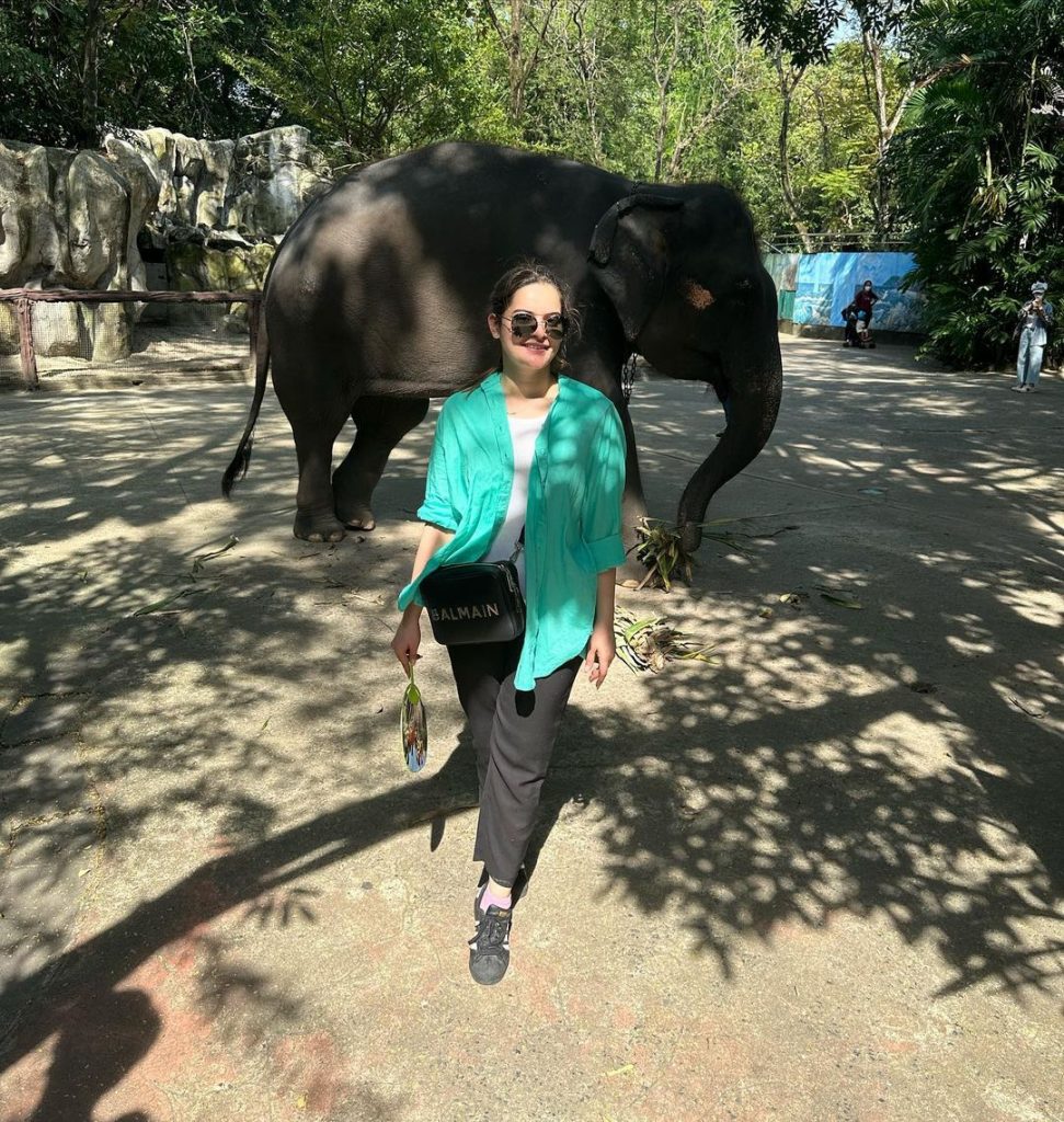 Minal Khan And Ahsan Mohsin Ikram Enjoy Safari In Thailand