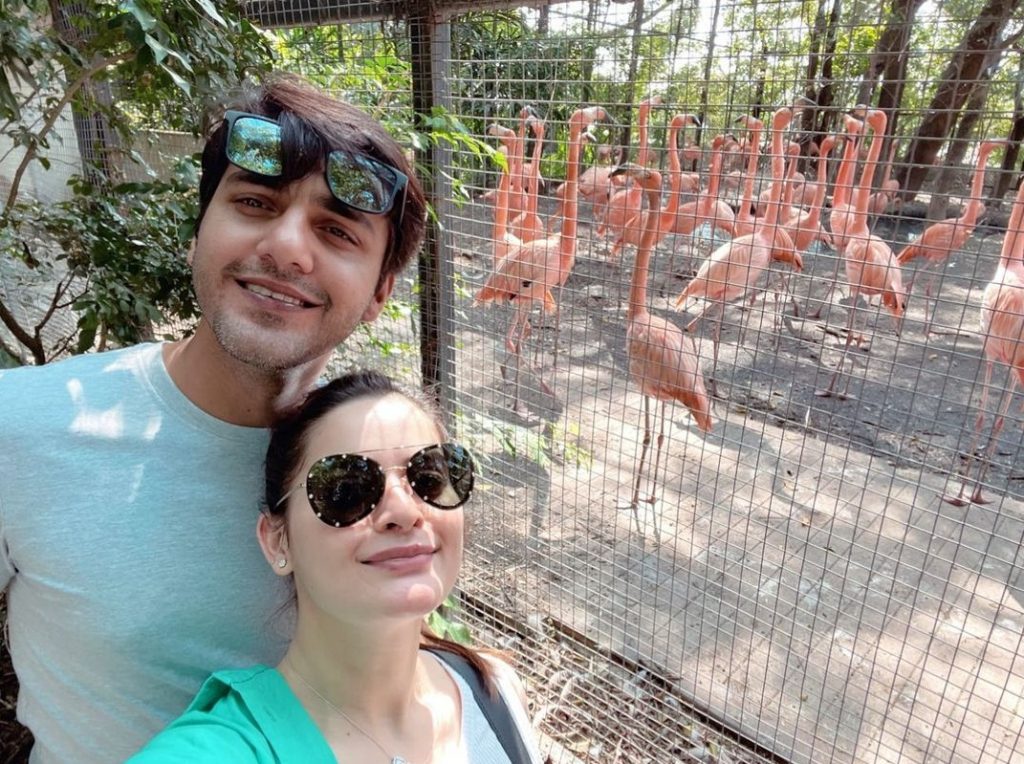 Minal Khan And Ahsan Mohsin Ikram Enjoy Safari In Thailand