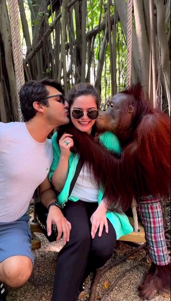 Minal Khan And Ahsan Mohsin Ikram Enjoy Safari In Thailand