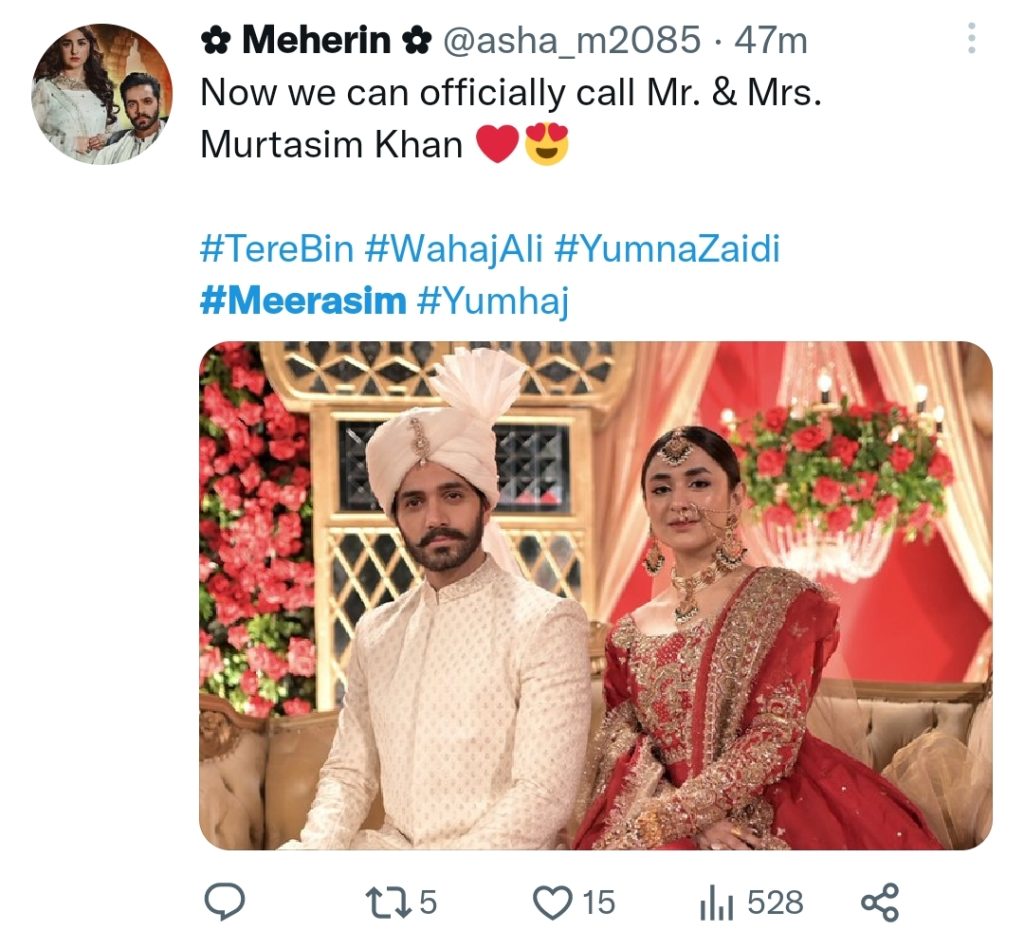 Tere Bin Fans in Love with Meerab & Murtasim's Wedding