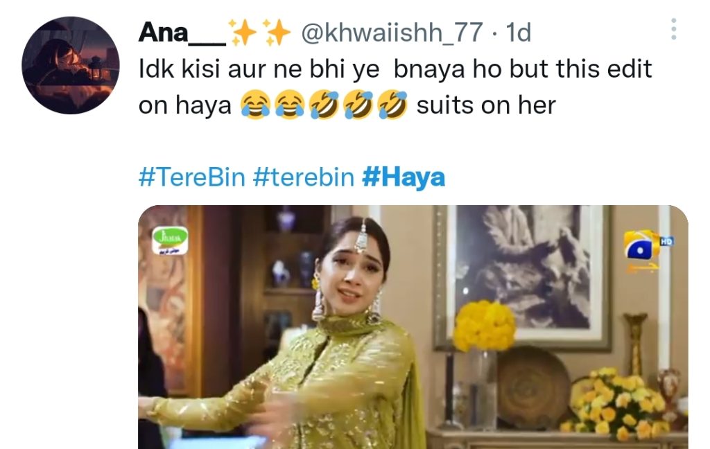 Haya's Dance Scene From Tere Bin Trolled by Public