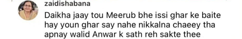 Yumna Zaidi's Mother Has An Opinion On Meerab From Tere Bin