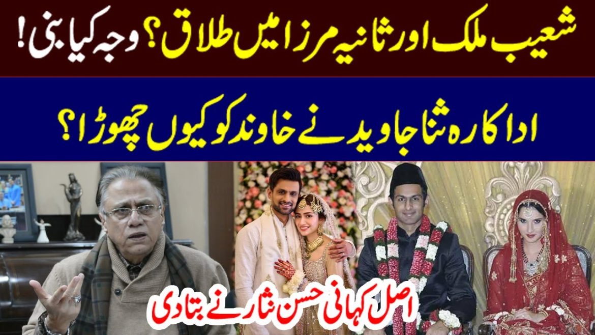 Journalist Hassan Nisar’s Advice After Shoaib Malik- Sania Mirza Divorce