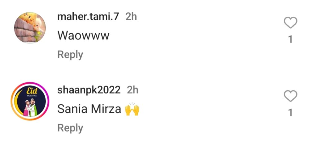 Sania Mirza's Latest Post Gets Love And Support