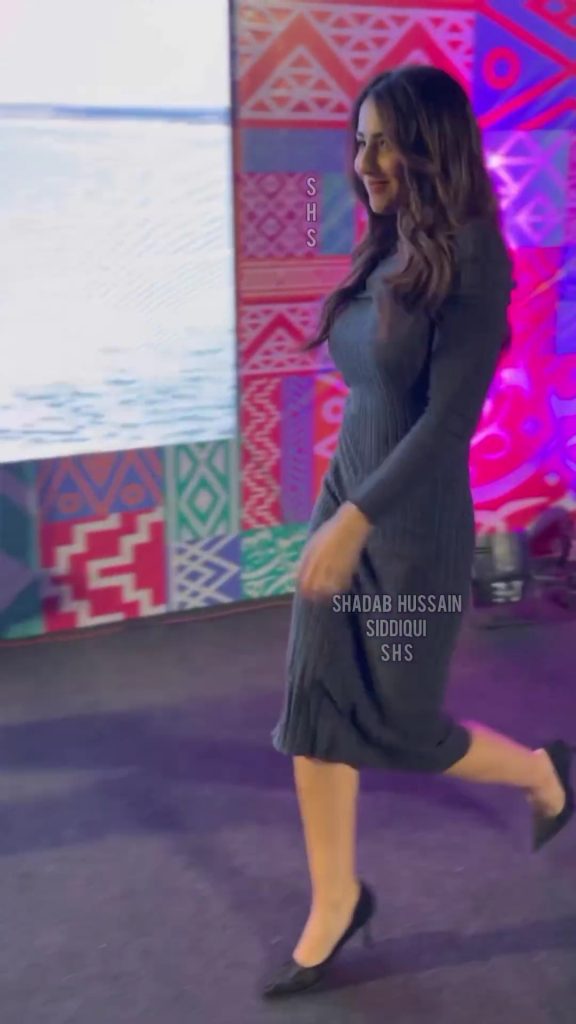 Ushna Shah's Latest Outfit Choice Under Severe Criticism