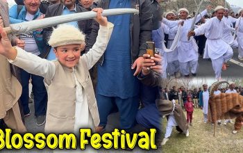 famous-vlogger-shiraz-promotes-beautiful-local-festival