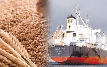 initial-report-on-wheat-import-scandal-reveals-large-scale-corruption