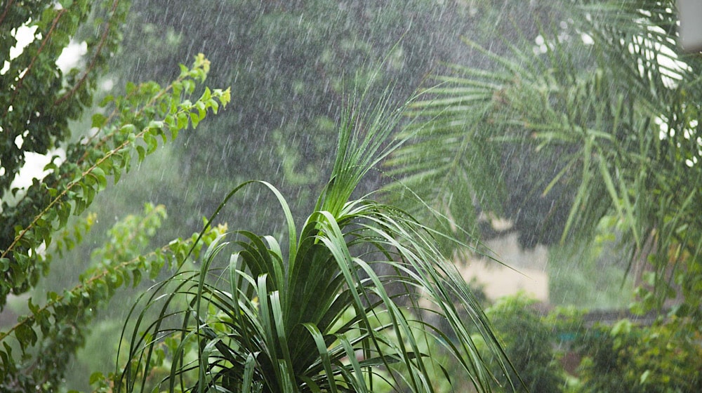 Pakistan to Experience Monsoon Rains for Three Months