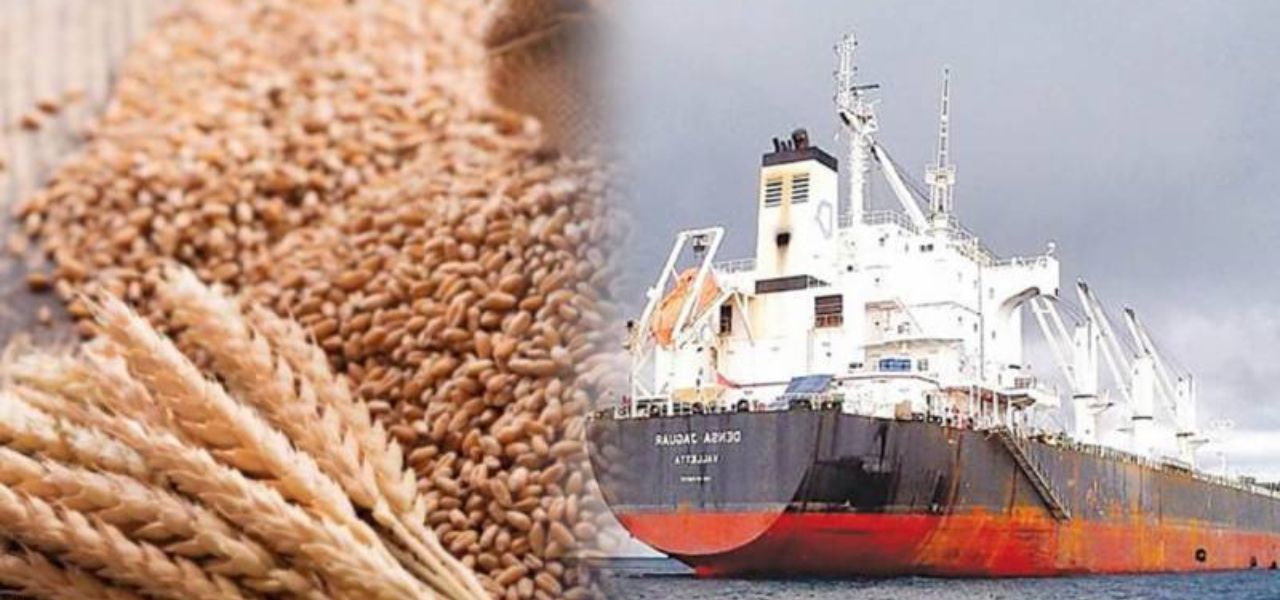 Initial Report on Wheat Import Scandal Reveals Large-Scale Corruption