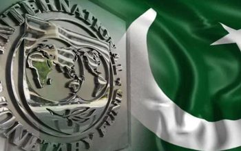 pakistan-delays-imf-proposal-to-increase-taxes-on-salaried-class