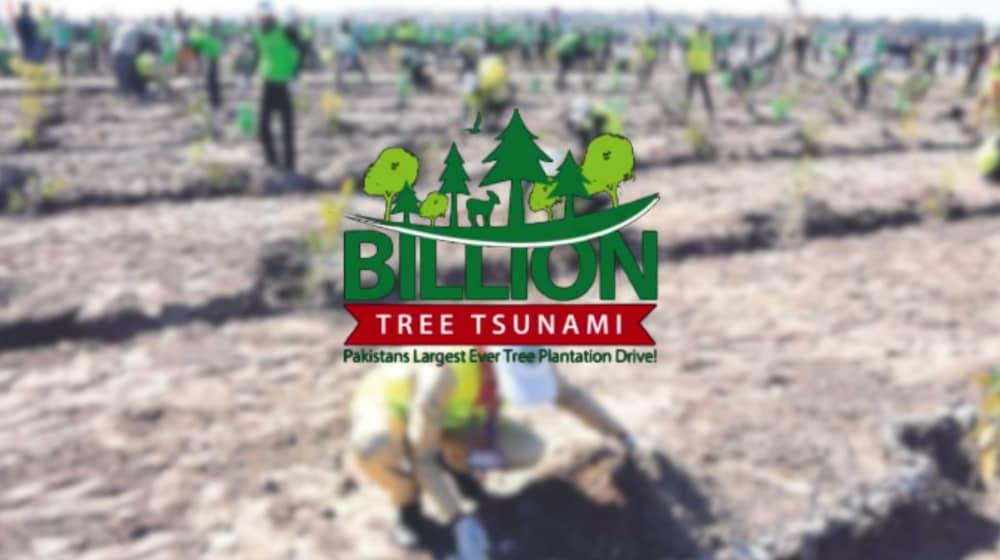 Govt. Decides to Continue Imran Khan’s Ten Billion Tree Initiative
