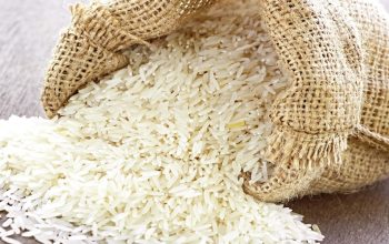 rice-production-hits-record-high-in-11-months-of-fy24