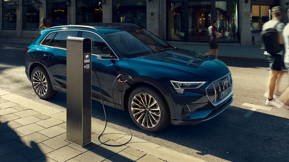 Senate Committee Opposes Increasing Tax on Electric, Hybrid Cars in Budget 2024-25