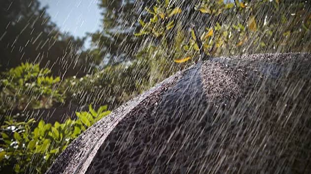 PMD Forecasts Heavy Rainfall Across Pakistan in Next 24 Hours