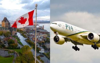 another-pia-steward-goes-missing-in-canada