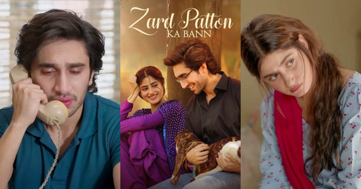 Zard Patton Ka Bunn Episode 18 – Meenu & Nofil’s Love Story Sparks Debate