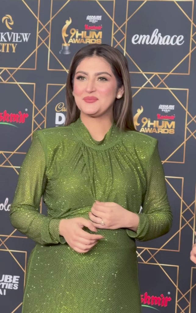 Celebrities' Looks From Hum Awards 2024