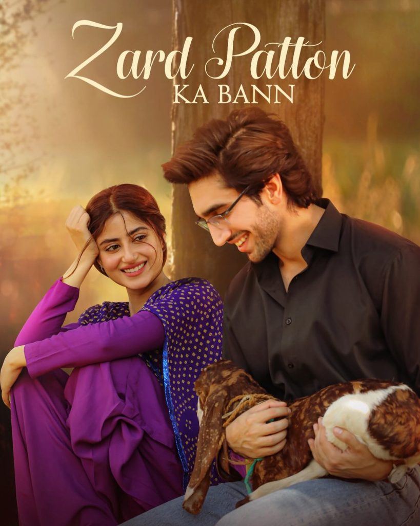 Zard Patton Ka Bunn Episode 18 - Meenu & Nofil's Love Story Sparks Debate