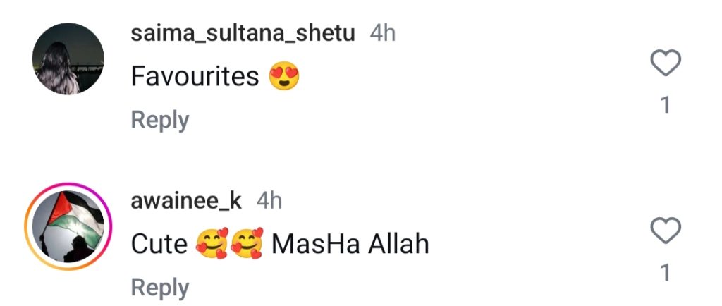 Ahad Raza Mir & Ramsha Khan Relationship Confirmed