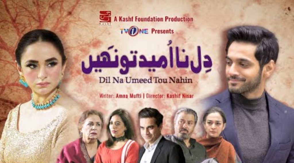 20 Must Watch Dramas Of Nauman Ijaz