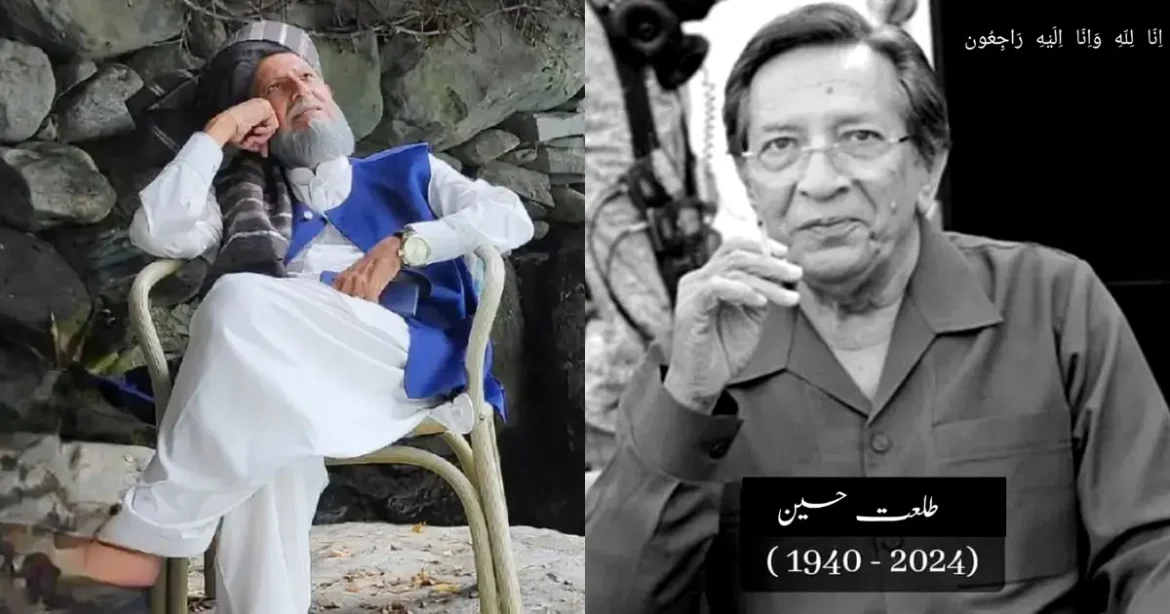 Pakistani Celebrities Who Passed Away In 2024