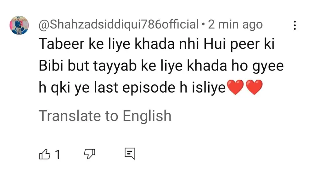 Nadaan Last Episode Public Reaction