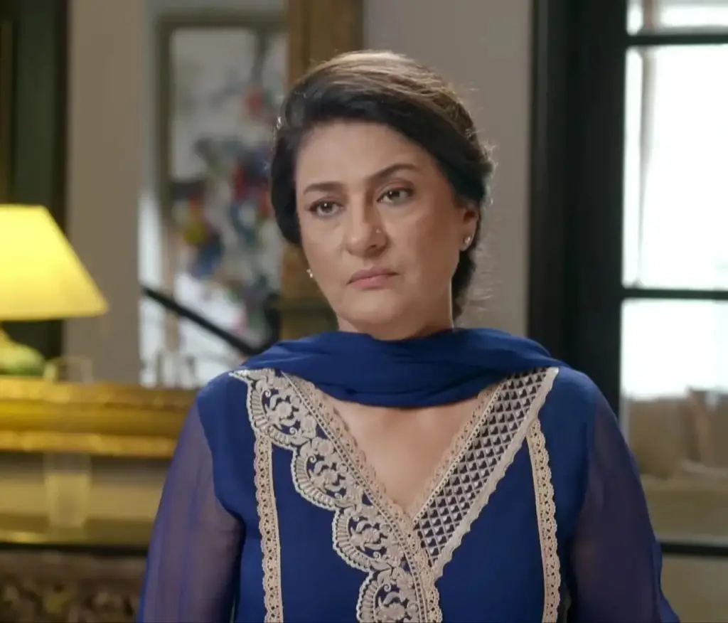 12 Best Female Performances In 2024 Pakistani Dramas