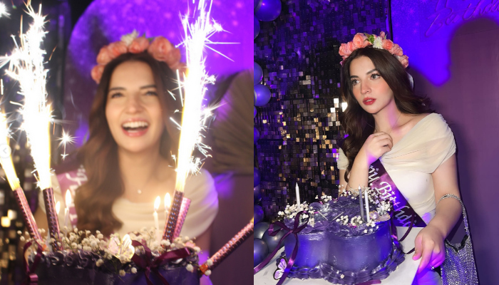 photos-from-dananeer-mobeen’s-birthday-celebration