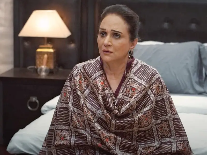 Bushra Ansari On Lack Of Logic In Kabhi Main Kabhi Tum