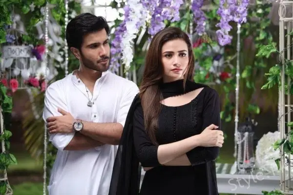 Pakistani Drama Couples We Want Back Together